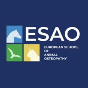 ESAO logo