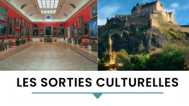 Réseaux Sociaux - Sorties Culturelles